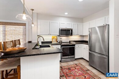 303 Dobie Condos, Roseland, VA 22967 - photo 3