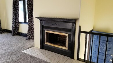 Wood Burning Fireplace