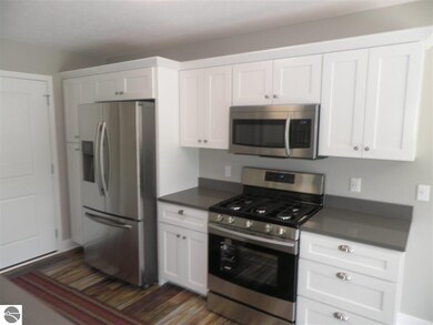 7432 E Meadows Dr, Cedar, MI 49621 - photo 6