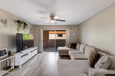 540 N May unit 3097C, Mesa, AZ 85201 - photo 7