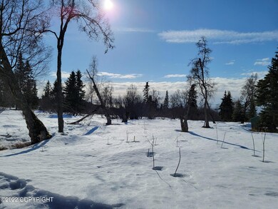 56600 Abalone Loop, Clam Gulch, AK 99568 - photo 3