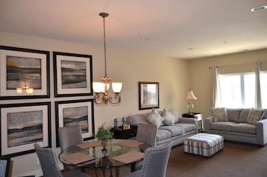 Beautifully Furnished