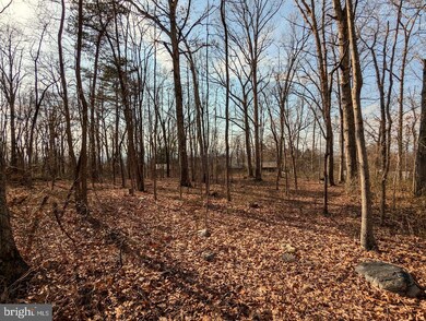 0 E Lee Hwy unit VASH2010608, New Market, VA 22844 - photo 7