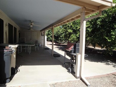 2719 rear yard