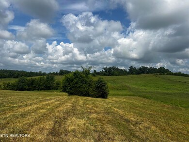IMG_6932