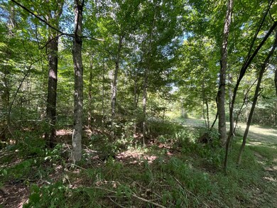 0 Old Sulphur Spring Rd, Columbia, KY 42728 - photo 5