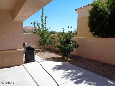 Backyard sides to grass area