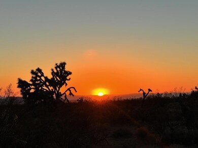 3501 S Wild Bill Rd, Yucca, AZ 86438 - photo 6