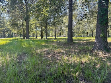 0 Nation Rd, Deville, LA 71328 - photo 3