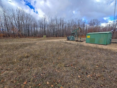 0 Mancelona Rd unit 25571179, Mancelona, MI 49659 - photo 3