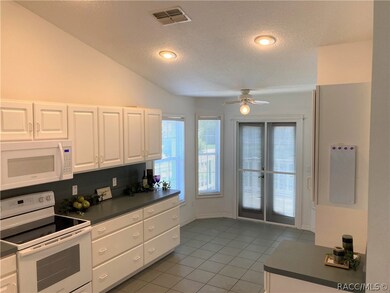 Additional Kitchen View