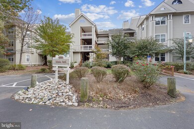 1126 Back Creek Loop, Solomons, MD 20688 - photo 5