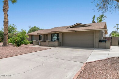 02_5009_E_Cactus_Rd__02_mls