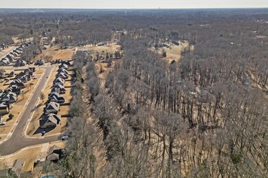 0 Hampton Meadow Ln unit 10188771, Bartlett, TN 38002 - photo 3