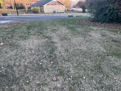 921 S Grant Ave, Springfield, MO 65806 - photo 4