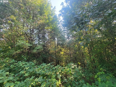 0 Finn Rd unit 591691188, Sheridan, OR 97378 - photo 7