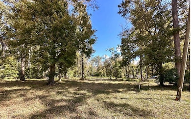 Beautiful mature trees scattered