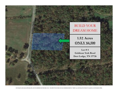 Goldman York Lot 5 - Img_1