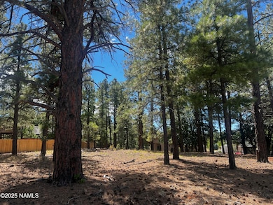 938 Torrey Pines Dr, Williams, AZ 86046 - photo 7