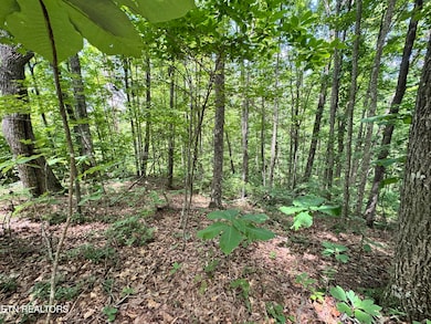 0 E Loomis Rd, Jamestown, TN 38556 - photo 5