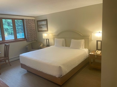 90 Loon Mountain Rd unit 1307C, Lincoln, NH 03251 - photo 7