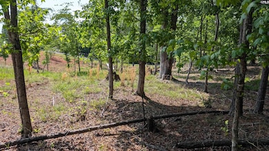 TBD Rolling Hills Rd, Ridgeway, SC 29130 - photo 4