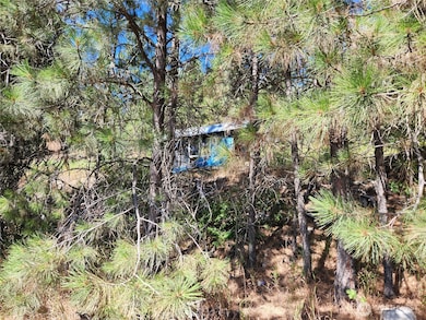 0 Lot 1 Klondike Rd, Republic, WA 99166 - photo 3