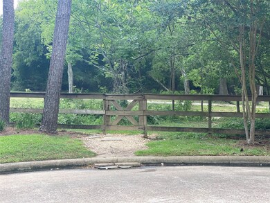 13119 Hermitage Ln, Houston, TX 77079 - photo 5