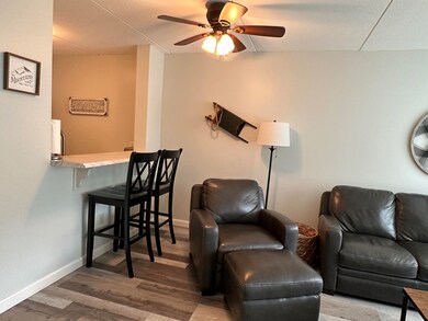 28 Packard Rd unit 429, Waterville Valley, NH 03215 - photo 3