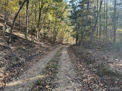 00 County Road 4, Belleview, MO 63623 - photo 3