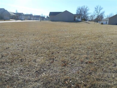 296298 Cherry Creek Ln, Farmington, MO 63640 - photo 3