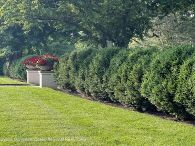 Hedgerow IMG_7101