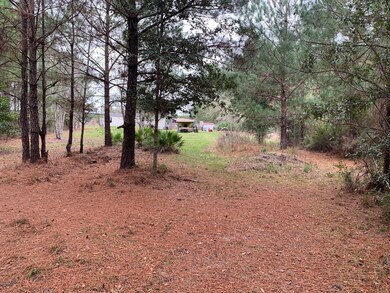 46687 Middle Rd, Callahan, FL 32011 - photo 7