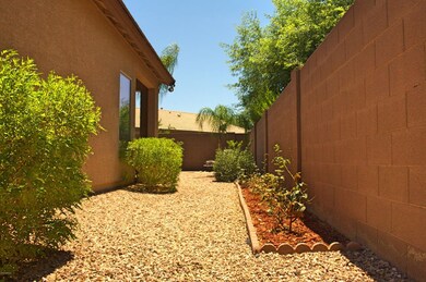 Easy Care Yards