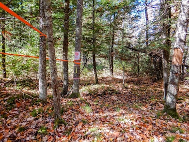 N16656 Dexter Rd, Beecher, WI 54156 - photo 7