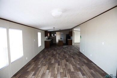 4211 Mimosa St, Carlsbad, NM 88220 - photo 5