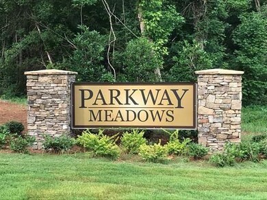 Parkway-Meadows