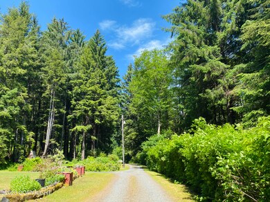 5 Mile Port Saint Nicholas unit Lot 12B, Craig, AK 99921 - photo 3