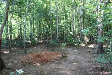 263 Donsdale Dr, Statesville, NC 28625 - photo 3