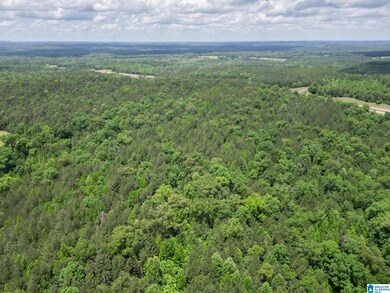 0 Highway 82 unit 1 21385129, Centreville, AL 35042 - photo 7