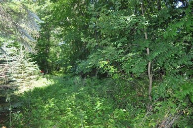 10014 Huron Creek Dr, Dexter, MI 48130 - photo 3