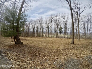 90 Danville Rd, Madison Township, PA 17815 - photo 5