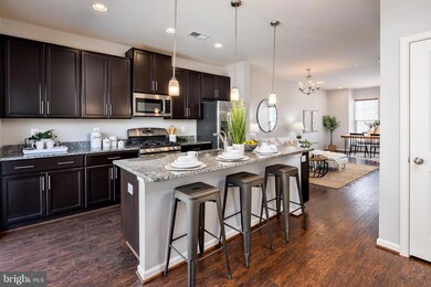 13231 Orsay St unit 1302, Clarksburg, MD 20871 - photo 7