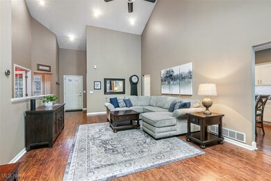 Large great room with a cathedral ceiling, two skylights and a gas fireplace