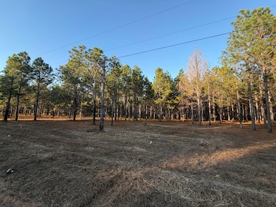 County Road 1156, Troy, AL 36079 - photo 3