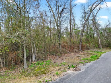 0 Bell Verdine Rd, Parish Governing Authority District 15, LA 70669 - photo 4