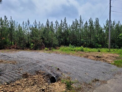 0 Freeman Fielder Rd unit RTC2367650, Stewart, TN 37175 - photo 2