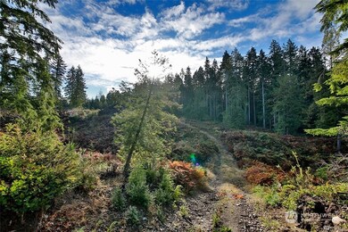 2761 Silent Cedars Ln, Langley, WA 98260 - photo 7
