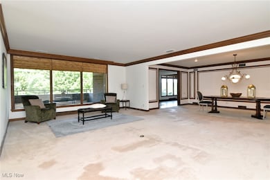 5200 Three Village Dr unit 2FH, Cleveland, OH 44124 - photo 4