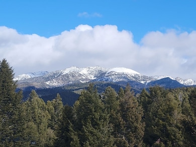 TBD Parcels 3A Bivens Creek Ridge Rd, Sheridan, MT 59749 - photo 3